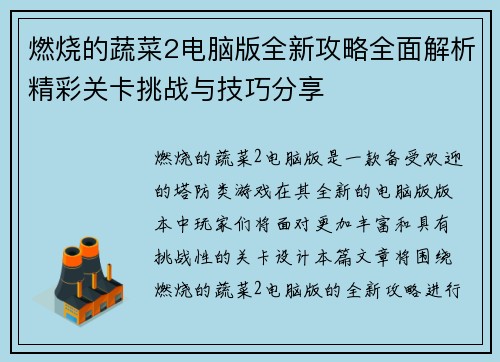 燃烧的蔬菜2电脑版全新攻略全面解析精彩关卡挑战与技巧分享
